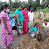 "Samrudhi Green Color Aswedduma Matrubhumi" National Plantation Day Environment Program / Homagama (Kirigampamunwa) (2022-09-28)